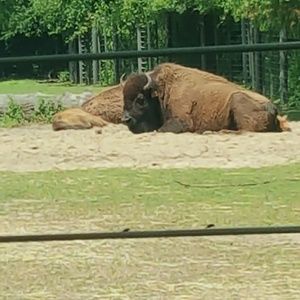 Meet your Posher, Marlon